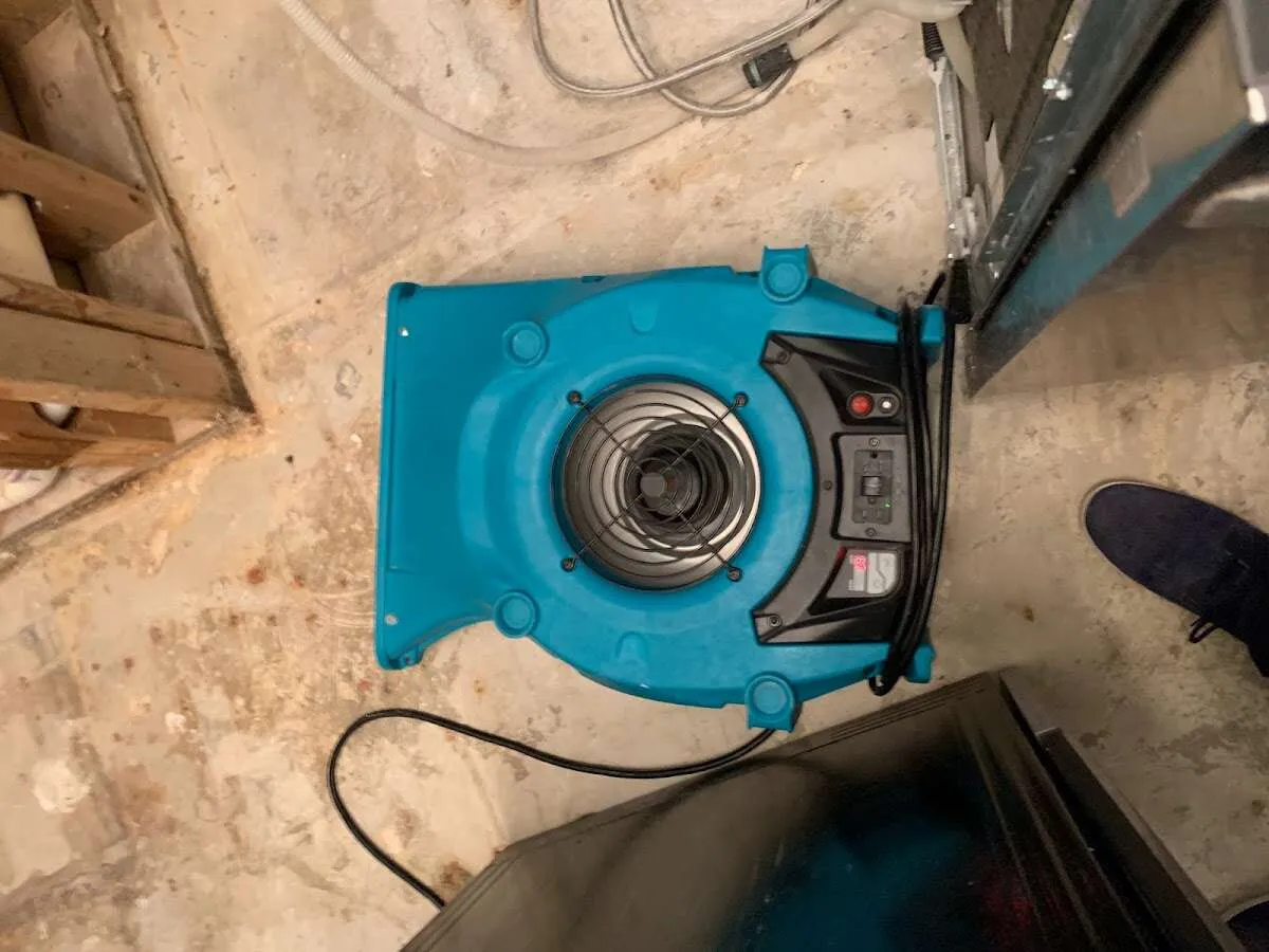 Air mover drying equipment for Mold Remediation & Removal in Guilford
